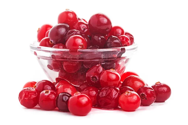 Cranberry isolated For your design. — Stock Photo, Image