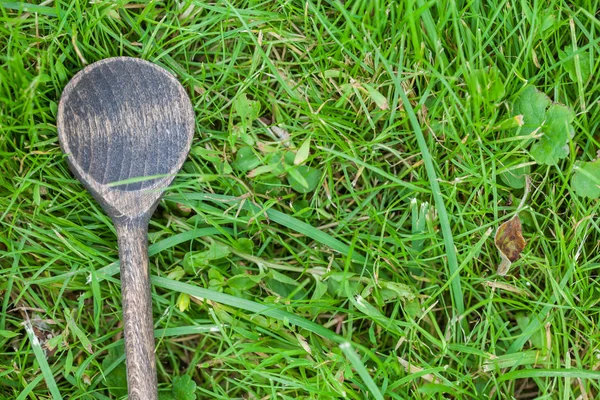 Hierba de cuchara de madera vacía — Foto de Stock