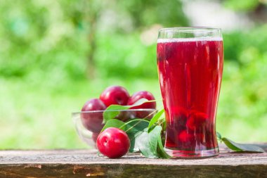 Erik yeşil yaprakları ile