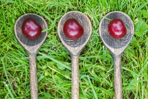 Empty wood spoon grass with — Stock Photo, Image