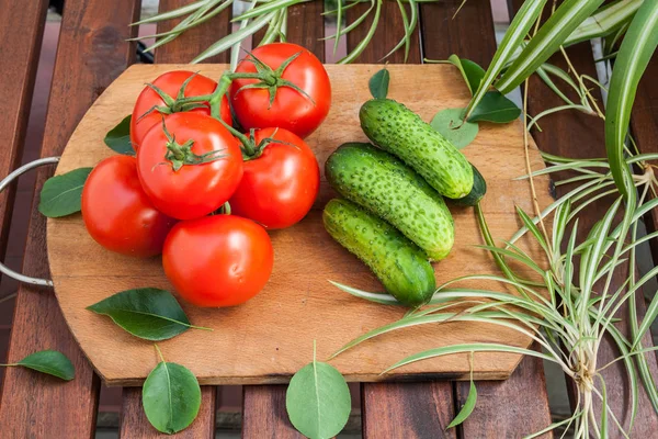 Tomat merah dan mentimun hijau — Stok Foto