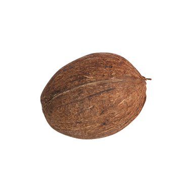 Hindistan cevizi. Doğru ve sağlıklı beslenme. Egzotik bir meyvedir. tereyağı. Tasarımlarınız için. 