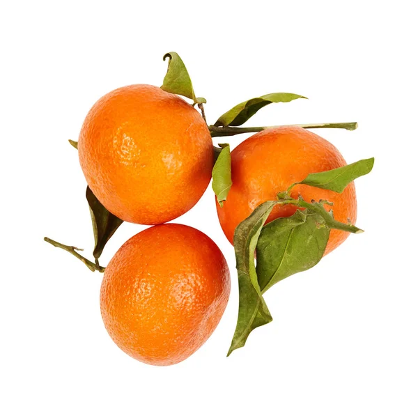 Orange. Vitamin c. Useful fruit. Strengthening of immunity. For your design. — Stock Photo, Image