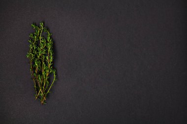 Yararlı otlar. Kekik. Güzel kokulu. Yeşil. Tazelik. Tasarımlarınız için. İzole.