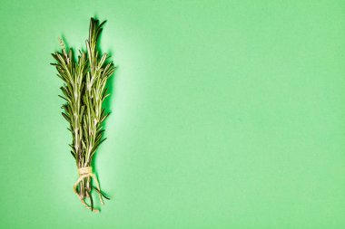 Yararlı otlar. Rosemary. Güzel kokulu. Yeşil. Tazelik. Tasarımlarınız için. İzole.