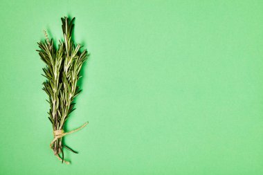 Yararlı otlar. Rosemary. Güzel kokulu. Yeşil. Tazelik. Tasarımlarınız için. İzole.