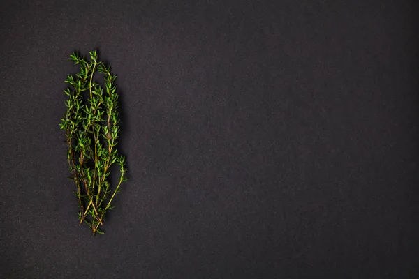 Useful herbs. Thyme.  Fragrant. Green. Freshness. For your design. Isolated.