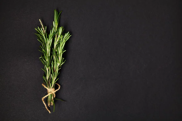 Useful herbs.  Rosemary. Fragrant. Green. Freshness. For your design. Isolated.