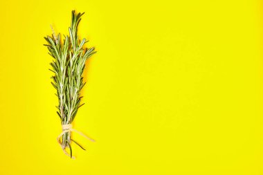 Yararlı otlar. Rosemary. Güzel kokulu. Yeşil. Tazelik. Tasarımlarınız için. İzole.