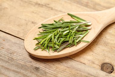 Taze yaprak biberiye arka plan üzerinde. Görünümü kadar yakın.