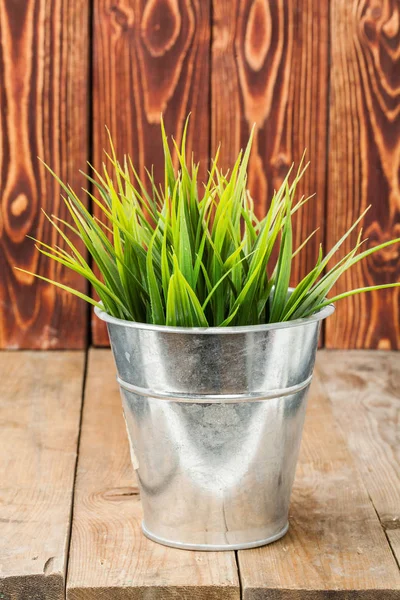 Herbe dans un pot sur — Photo