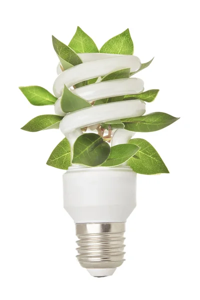 Energiebesparende gloeilamp met groen blad geïsoleerd op witte achtergrond. Sluiten.. — Stockfoto