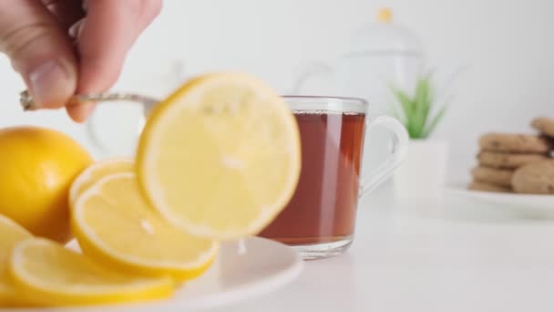 In a Glass Cup of tea put a lemon on white kitchen table. Close up. — 비디오