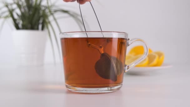 Faire du thé dans une tasse en verre avec une passoire à thé sur une table de cuisine blanche. Gros plan . — Video