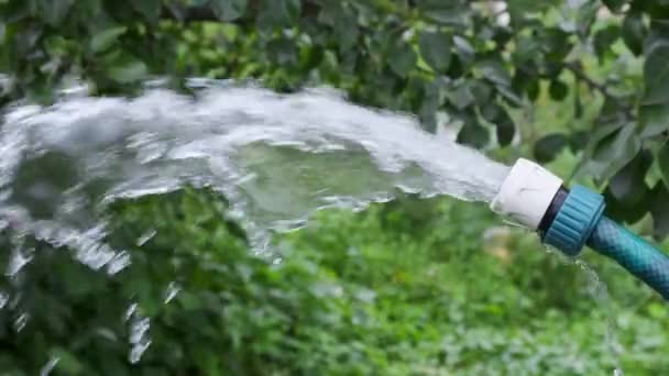 Hand sproeit water uit een tuinslang op een buitentuin. Zomer. — Stockvideo