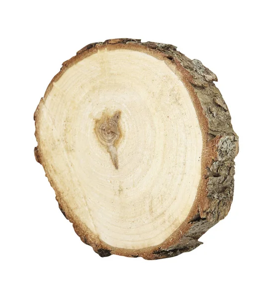 Secção transversal do tronco da árvore isolada sobre fundo branco. Fechar . — Fotografia de Stock
