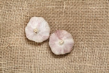 Çuval bezinde taze sarımsak. Kapat..