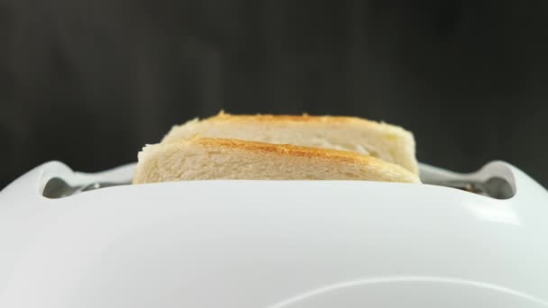 Z bílého toustovače vyskakují krajíčky chleba. Zavřít. — Stock video