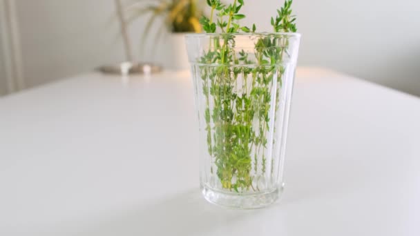 Bevanda analcolica con erbe aromatiche sul tavolo da cucina bianco. Da vicino. . — Video Stock