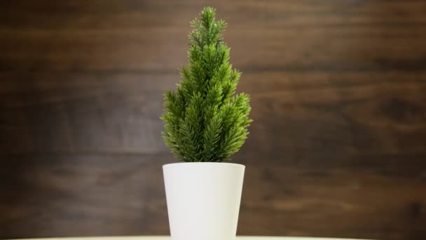 Christmas tree rotating on wooden background. Close up. — Stok video