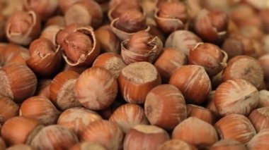 Fresh peeled and inshell hazelnuts rotating. Close up.