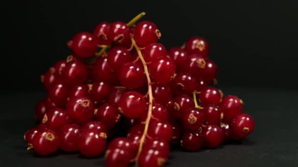 Ramo de uvas rojas maduras gira sobre fondo negro. De cerca. . — Vídeos de Stock