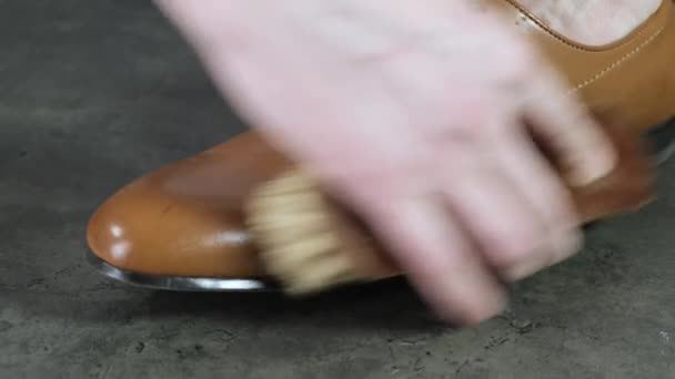 Brillante Zapato Cuero Con Cepillo Pelo Caballo Cerca — Vídeos de Stock