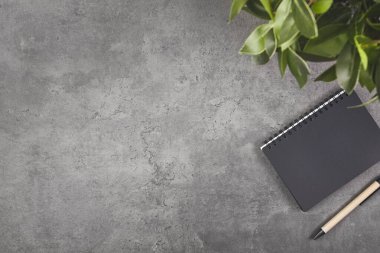 Dal yeşili yapraklı, gri arka planda bir defter. Düz yatıyordu.