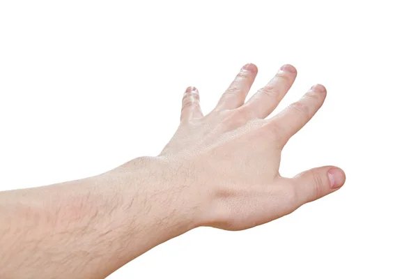 Hand toon richting of wees iets, geïsoleerd op een witte achtergrond — Stockfoto