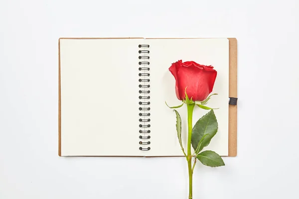 Horní pohled záběr prázdného deníku a červených růží na bílém stole — Stock fotografie