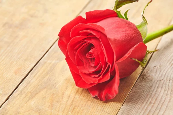 Red rose on grunge wooden background. Close up — Stock Photo, Image