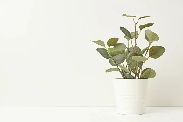 Wooden desk table top with tree pot on white wall, with copy space — Stock Photo, Image