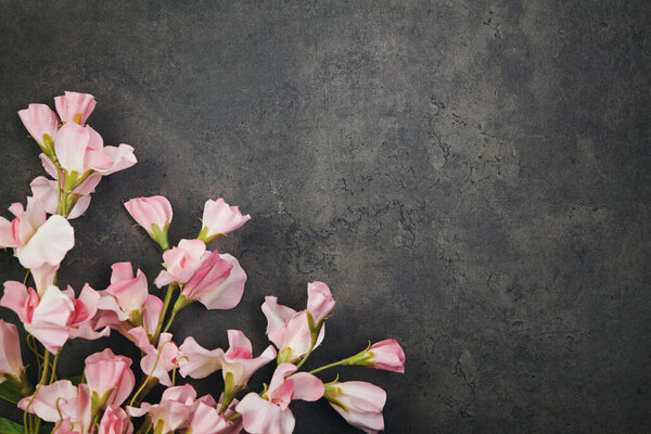 Beautiful flowers on grunge abstract dark background