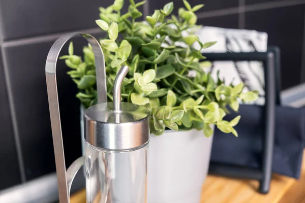 Maceta con planta verde en encimera de cocina. De cerca. —  Fotos de Stock