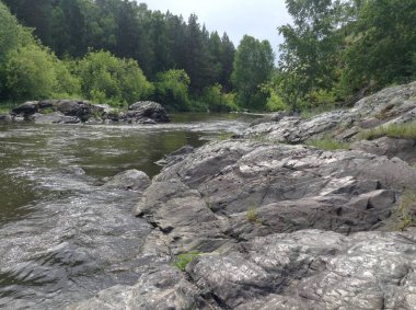 Yaz manzarası - güzel orman, nehir ve kayalar, Rusya 'nın doğası