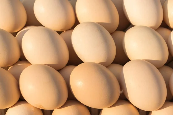 Marketin, marketin, süpermarketin tezgahında duran kahverengi tavuk yumurtaları.