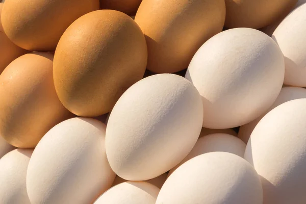 Kahverengi ve beyaz tavuk yumurtaları markette, markette, süpermarkette tezgahın üzerine bırakılır.