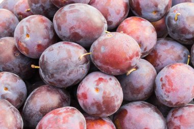 Blue ripe plums lie on the window of a supermarket, store, market