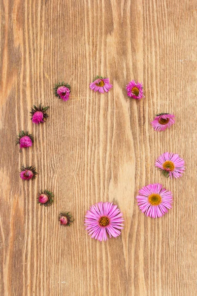 Round frame of  flowers — Stock Photo, Image