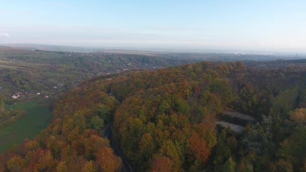 Luchtfoto Van Herfstbos Kleurrijke Bomen — Stockvideo