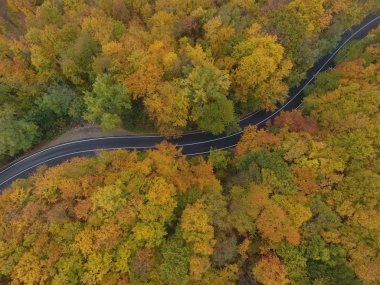 Ormandan yola hava manzarası, sonbahar sezonu, güzel renkli manzara.