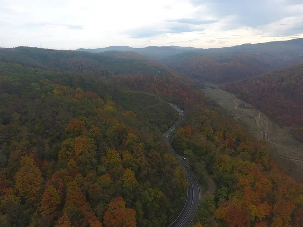 Ormandan yola hava manzarası, sonbahar sezonu, güzel renkli manzara.