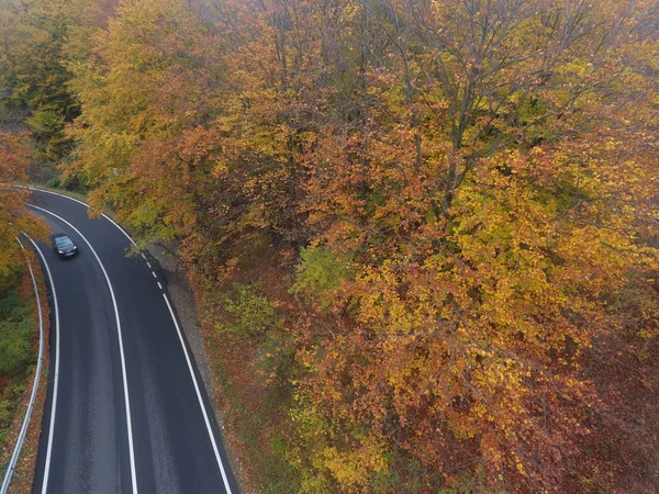 Ormandan yola hava manzarası, sonbahar sezonu, güzel renkli manzara.