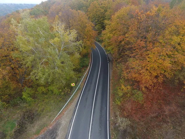 Luchtfoto Van Weg Uit Het Bos Herfst Seizoen Prachtige Kleurrijke — Stockfoto