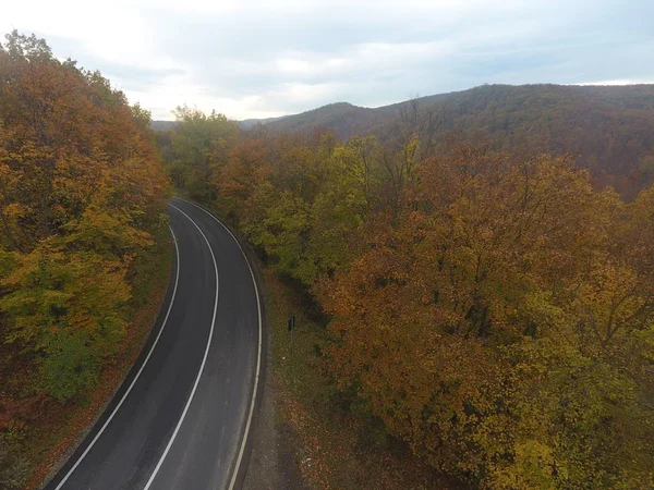 Letecký Pohled Cestu Lesa Podzimní Sezóna Krásná Barevná Krajina — Stock fotografie