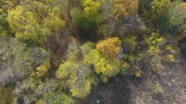 Sonbahar ormanlarının havadan görünüşü, renkli ağaçlar