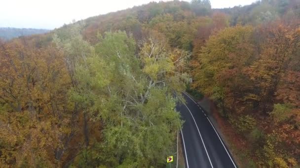 Luftaufnahme Der Straße Aus Dem Wald Herbstsaison Schöne Bunte Landschaft — Stockvideo