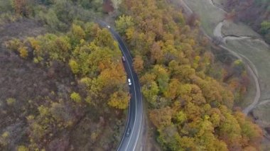 Ormandan yola hava manzarası, sonbahar sezonu, güzel renkli manzara.