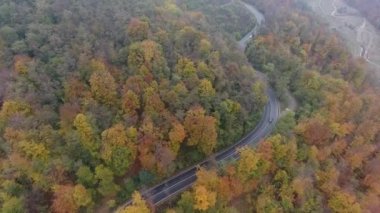 Ormandan yola hava manzarası, sonbahar sezonu, güzel renkli manzara.