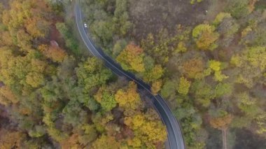 Ormandan yola hava manzarası, sonbahar sezonu, güzel renkli manzara.